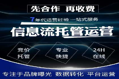 SEM推广实战：成功案例剖析